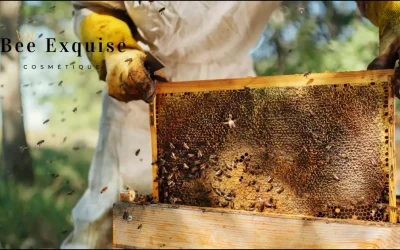 Comment la propolis peut améliorer l’apparence des cicatrices et des imperfections